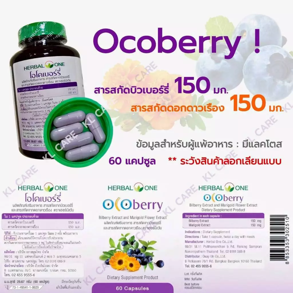 Ocoberry Bilberry Extract บิลเบอร์รี่ บำรุงสายตา วิตามินบำรุงดวงตา อ้วยอันโอสถ 60 แคปซูล ของแท้100% thumbnail 6