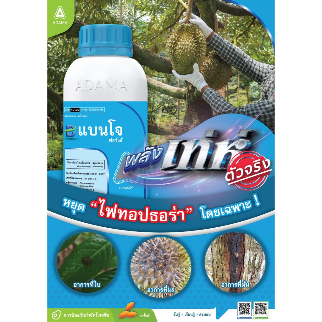 แบนโจฟอร์เต้ ขนาด 1 ลิตร ไดเมโทมอร์ฟ (dimethomorph) + ฟลูอะซินาม (fluazinam)