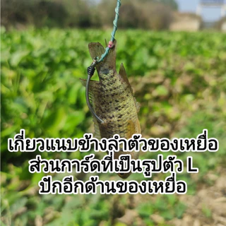 เบ็ดหยกปลาช่อนสแตนเลส แบบมีห่วง พร้อมใช้งาน เกี่ยวปลาหมอปลากระดี่และเขียด