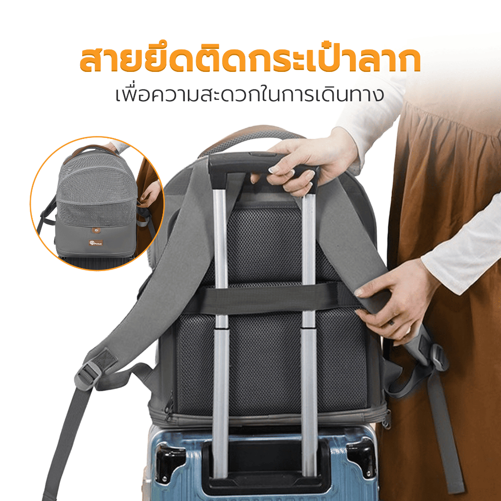 กระเป๋าสัตว์เลี้ยง กระเป๋าใส่แมว Pet Backpack carrier แผ่นรองนุ่ม ถอดซักได้ ระบายอากาศดี ลดความอับชื้น Petus pet รูปที่ 2