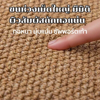 แผ่นลับเล็บแมว แผ่นขูดแมว ใช้งานได้หลายวิธี นอนได้เล่นได้ พรม พรมเช็ดเท้า กันลื่น ทนต่อการสึกหรอ