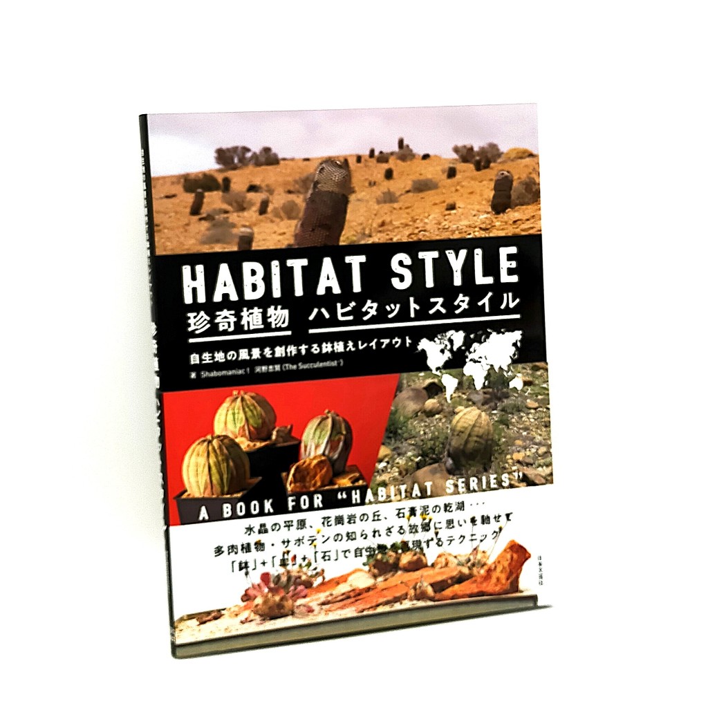 Bizarre Plant Habitat Style Succulent Cactus Potted Layout Book
