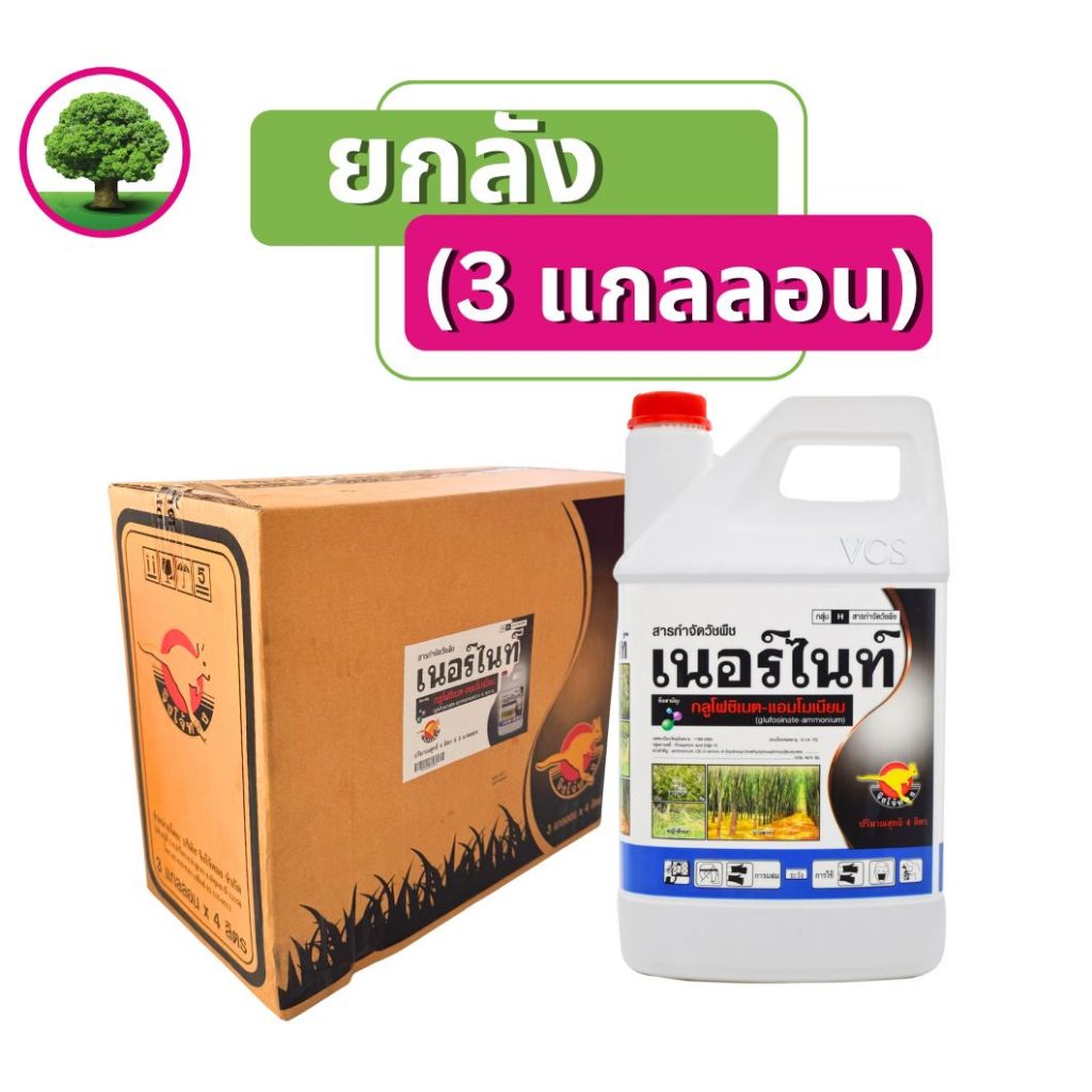 เนอร์ไนท์ขนาด4 ลิตรแกลลอน สีขาว (ยกลัง แพ็คเก็จใหม่) 3 แกลลอน กลูโฟซิเนตแอมโมเนียม15% ตราจิงโจ้ทอง