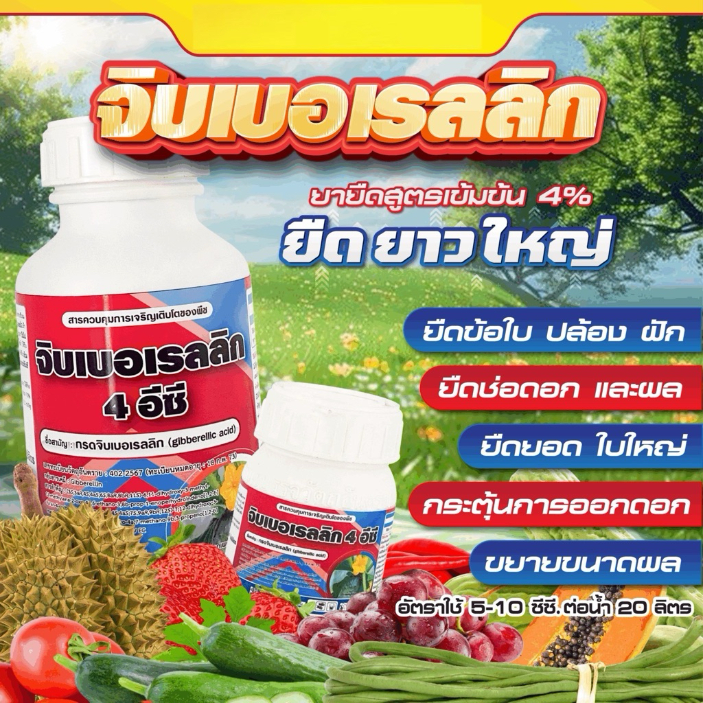 จิบเบอเรลลิก5% (สารยืดช่อ ยืดผล) #จิ๊บ5% -100 ซีซี