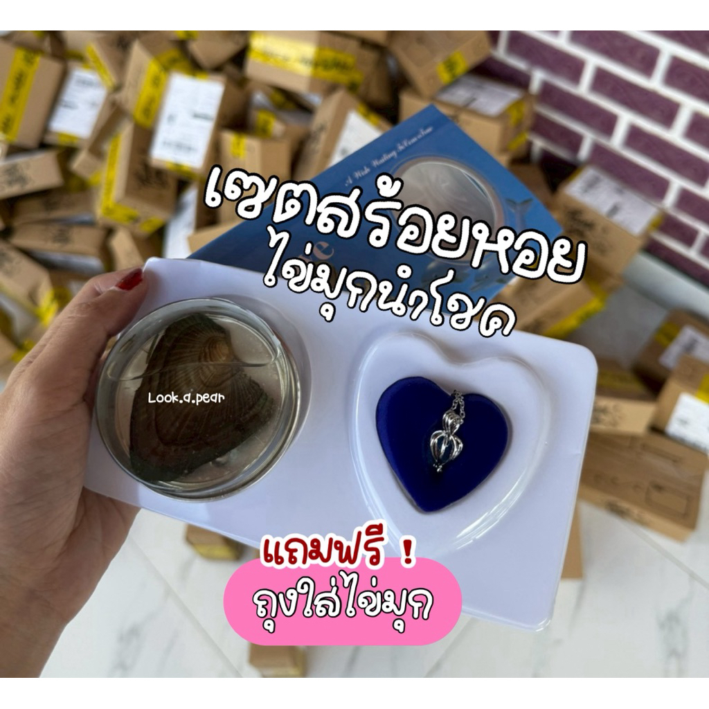 พร้อมส่ง!{🔥สั่งวันนี้มีของแถม🐝สร้อยหอยไข่มุกนำโชคค