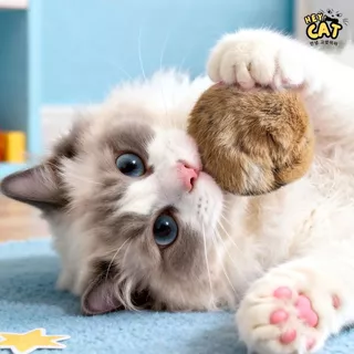 Heycat ลูกบอลแคทนิป ลูกบอลแมวขนกระต่าย ของเล่นแมว สุดฟินทำให้แมวเพลิดเพลินสนุกสนาน ขนาดใหญ่ 10 Cm.