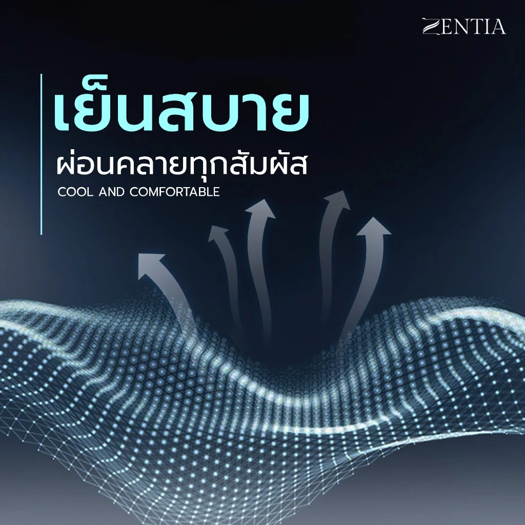ZENTIA ชุดผ้าปูพร้อมผ้านวม ผ้าแพรพรีเมี่ยมสีพื้นทูโทน thumbnail 6