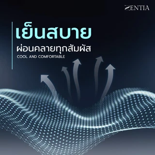 ZENTIA ชุดผ้าปู + ผ้านวม ผ้าแพรสีพื้นทูโทน กันไรฝุ่นขนสัตว์ ทอแน่น นุ่มลื่นเย็นสบาย | 6 ชิ้น [PJ]