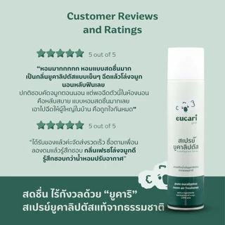 สเปรย์น้ำมันยูคาลิปตัส ยูคาริ eucari eucalyptus spray ขนาด300ml. สเปรย์น้ำมันยูคาลิปตัสจากธรรมชาติ