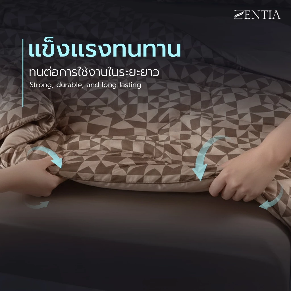 ZENTIA ชุดผ้าปูพร้อมผ้านวมรุ่น COOL LUXE ผ้าแพรพิมพ์ลาย EE thumbnail 3