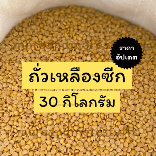 ถั่วเหลืองซีก (30 กิโลกรัม) ถั่วเหลืองทำน้ำเต้าหู้