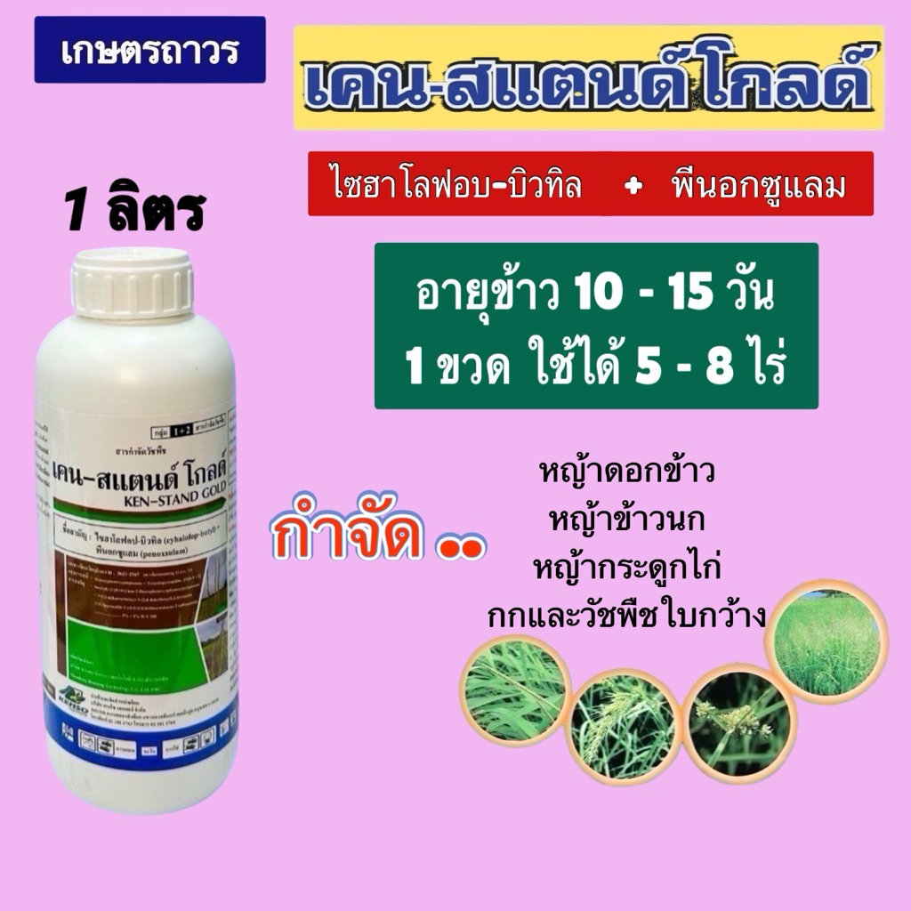 เคน-สแตนด์โกลด์ พีนอกซูแลมบวกไซฮาโลฟอป  1 ลิตร ใช้กำจัดวัชพืชใบกว้าง ใบแคบ และ กกในนาข้าว