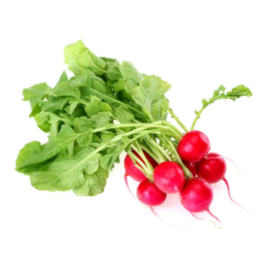 [700 seeds] Carrot seeds, red radish seeds, cherry radish varieties