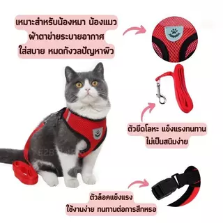 PETStar1🥇สายรัดสุนัขและแมว🥇 สวมใส่ง่าย ป้องกันการสูญหาย สายรัดแมว สายรัดสุนัข S-XL