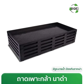 ถาดเพาะกล้า เพาะข้าว นาดำ รุ่น GTMG ไม่กรอบแดด ผลิตจากพลาสติก PP คุณภาพดี ของแท้จาก SGE