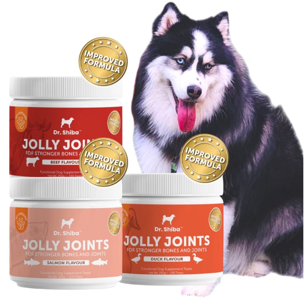 Dr. Shiba Jolly Joints - ขนมสุนัข ช่วยซัพพอร์ทข้อต่อ และกระดูก รสเนื้อ/แซลมอน 250 กรัม