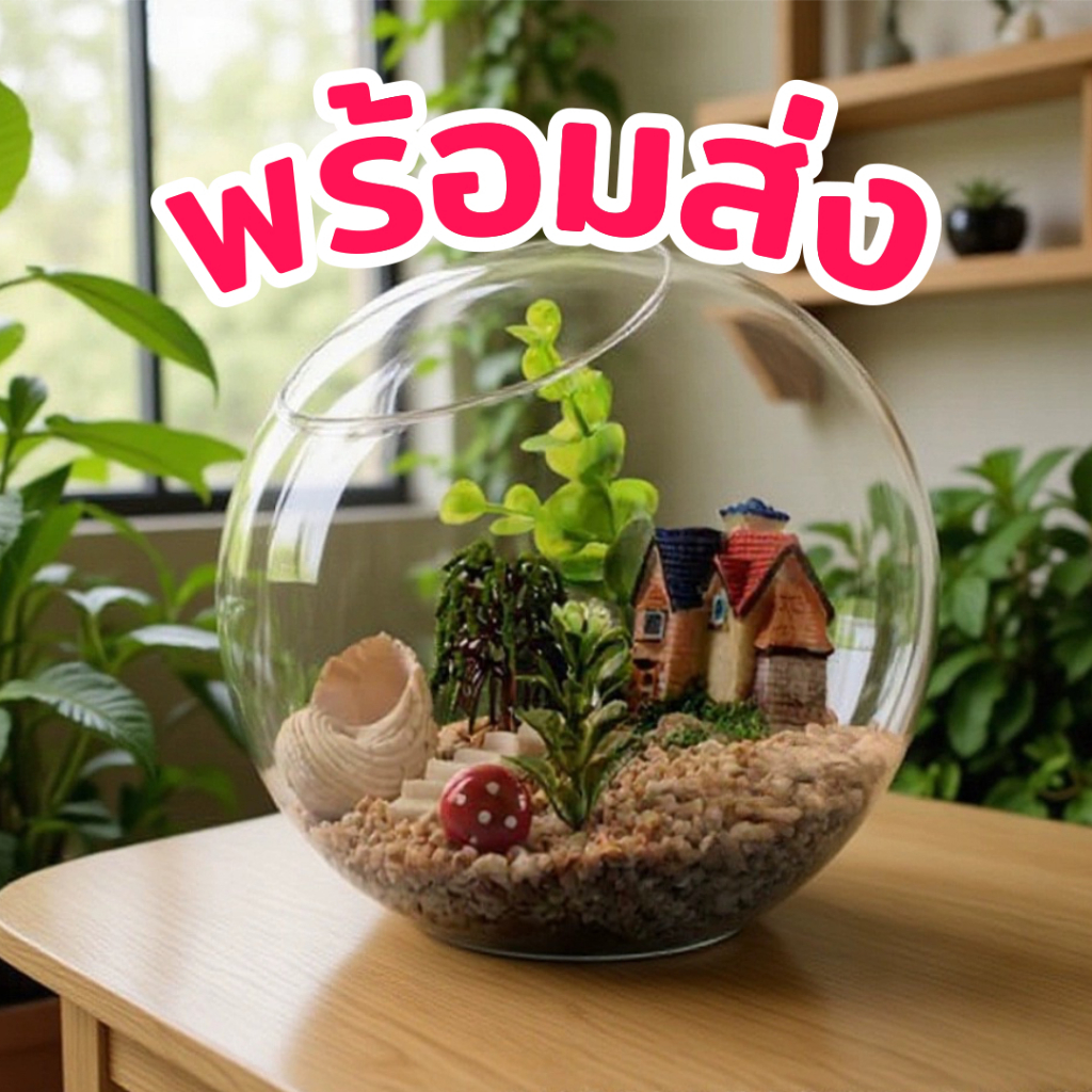 [พร้อมส่ง] โหลแก้ว จัดสวน สวนในขวด สวนจิ๋ว โหลเปล่า โหลเลี้ยงปลา