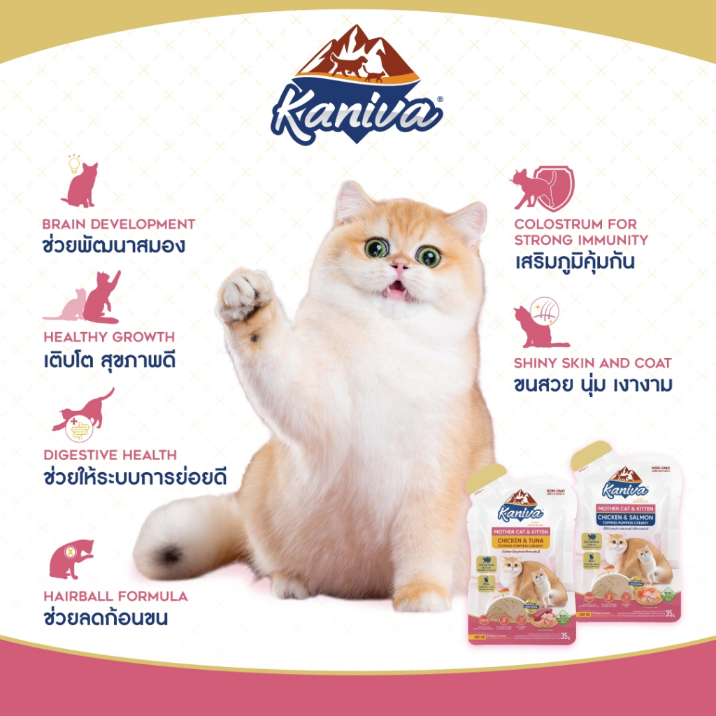 Kaniva Mother Cat & Kitten อาหารเปียกคานิว่า สำหรับแม่และลูกแมว 35 กรัม ยกโหล *12 ซอง - รูปที่ 3