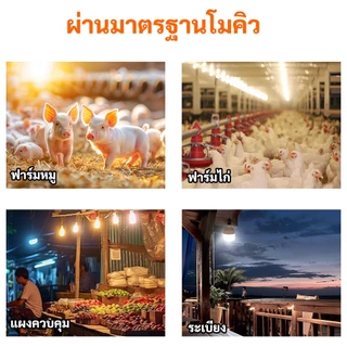 MIMI หลอดไฟ LED HighBulb 35W 45W 65W 85W Light ขั้ว E27 แสงขาว/วอร์ม ทรงกระบอก ประหยัดไฟ 20,000ชม