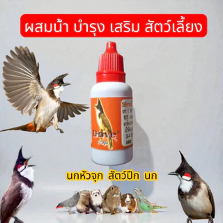 50 cc วิตามินสำหรับสัตว์เล็ก สำหรับสัตว์เล็กและสัตว์ฟันแทะ ส่งด่วนทุกวันจร้า