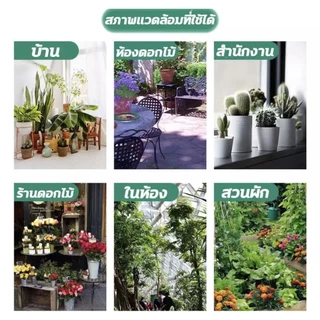 🐞แมลง🐞ยาขับไล่แมลงสำหรับพืช 500g ยาฆ่าแมลง、ยาขับไล่แมลง、ยาฆ่าหญ้า、ยาฆ่าแมลงกินใบ、ยาฆ่าเพลี้ย、ยาฆ่าเพลี้ย、หนอน、มด การเกษต