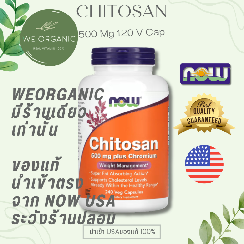 [พร้อมจัดส่ง] Chitosan ไคโตซาน 500 MG เหมาะกับผู้ควบคุมอาหาร ดูแลระบบทางเดินอาหาร ใยอาหารจากธรรมชาติ 120/240 Cap NOW