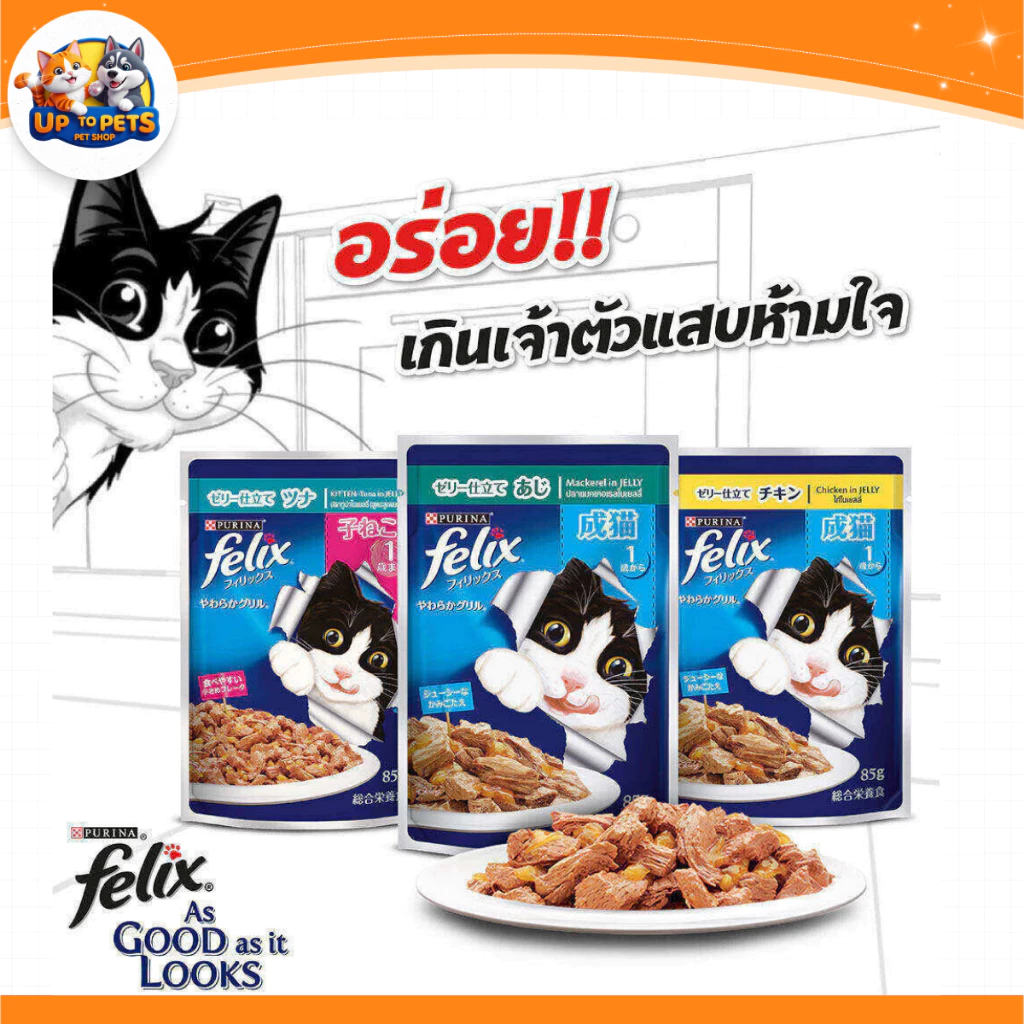 [ยกลัง 24 ซอง] Felix เฟลิกซ์ อาหารเปียกแมวส่งไว เนื้อแน่นเต็มซอง!