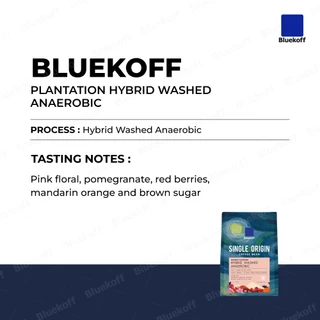 Bluekoff เมล็ดกาแฟ ไทย อราบิก้า 100% Bluekoff Plantation: Hybrid Anaerobic (1 ถุง บรรจุ 100 กรัม)