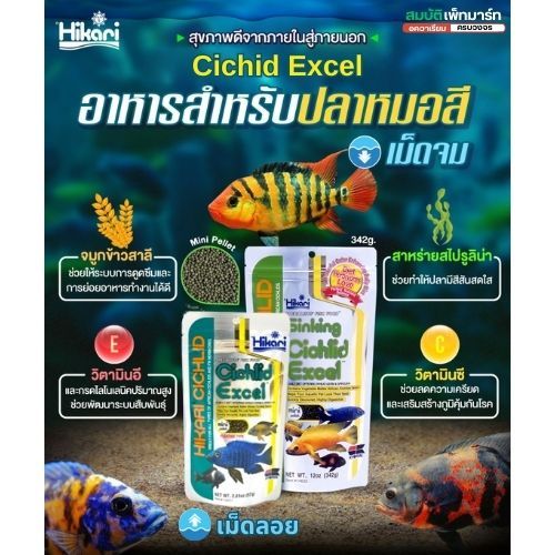 Hikari Cichlid Excel อาหารปลาหมอที่กินพืชทุกชนิด เช่น ปลาซาติน, ปลาฟรอนโตซ่า ชนิดเม็ดจม และเม็ดลอย