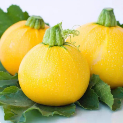 Banana zucchini, golden pumpkin, zucchini, high germination rate, organic vegetable seeds used for p