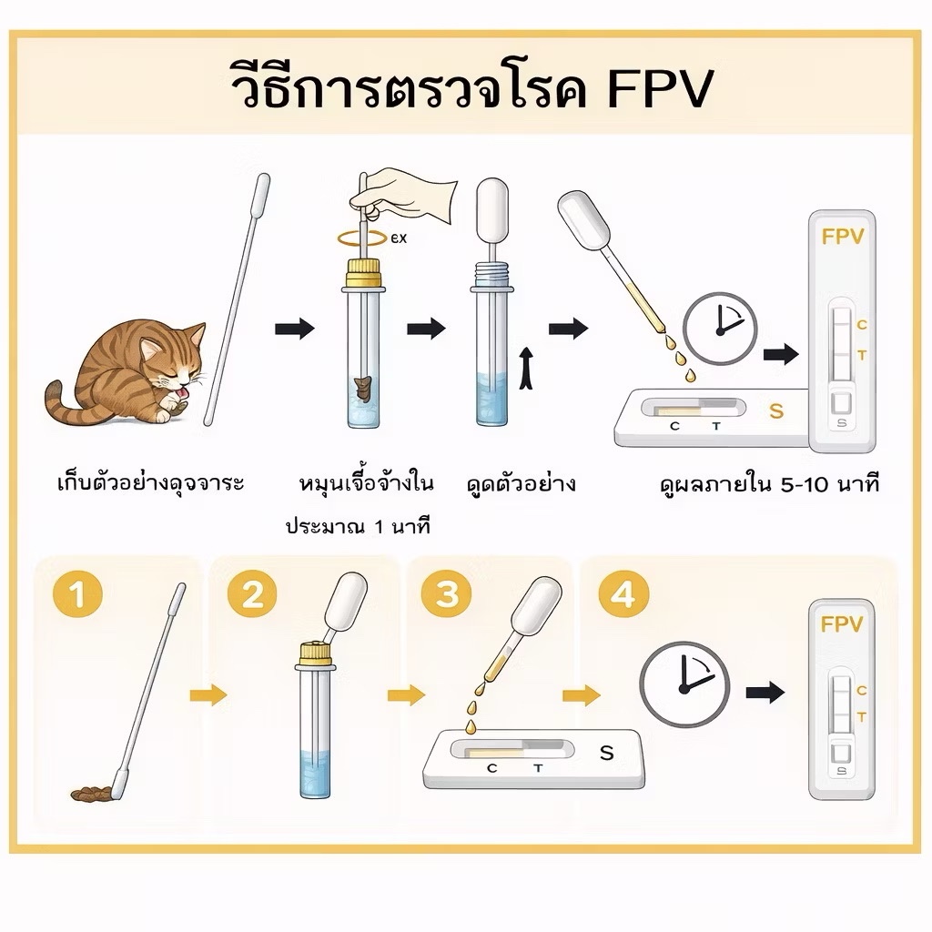 ยกกล่อง ถูกกว่า!! 20 ชิ้น พาโวแมว ชุดตรวจ โรคแมว ตรวจไข้หัดแมว  FPVtest ราคา ถูกที่สุด ดีลบีเคเค แกลเลอรีภาพที่ 2