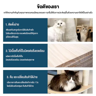 กรอบปีนแมว คอนโดแมวไม้ งานไม้พรีเมียม คอนโดแมว แคปซูลอวกาศ ตัวหนา เพิ่มความสูง condoแมว คอนโดแมวใหญ่ คอนโดแมวไม้จริง