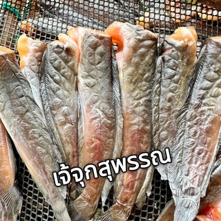 ปลาดุกกลม ดุกนา ดุกเล็ก แพค 500 g ไซส์เล็ก ตากแดดเดียว