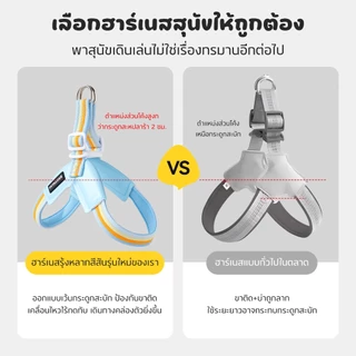 PETStar1สายรัดอกน้องหมาน้องแมว สะท้อนแสง ปลอดภัยยามค่ำคืน วัสดุนุ่มพิเศษ ไม่บาดผิว ระบายอากาศดีเยี่ยม ขนาด S-L