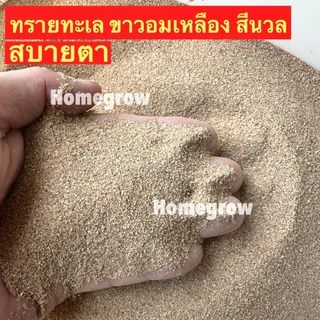 ทรายทะเลขาวอมเหลือง ทรายสีนวล ทรายตู้ปลา รองพื้นตู้ พร้อมส่ง ตู้ปลา ตกแต่งตุ้ปลา ทรายตู้ปลา