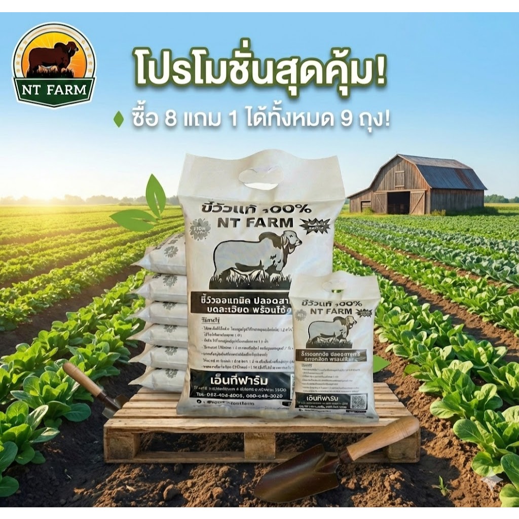 มูลวัวหมัก EM (ขี้วัว) บดละเอียด | NT FARM (ซื้อ 8 ฟรี 1 = 9 ถุง)