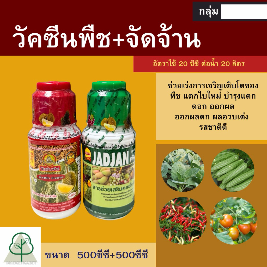 วัคซีนพืช+จัดจ้าน ฮอร์โมนพืชช่วยเสริมสร้างคลอโรฟิลเสริมฤทธิ์ของปุ๋ยและยาใช้แล้วต้นแข็งใบตั้งรากยาวสร้างภูมิคุ้มกันให้พืช