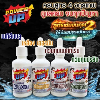 เมทิลีนบลู•เหลือง•คุมแบคทีเรีย•คุมปรสิต สูตรเข้มข้น สำหรับปลาบอลลูน•ปลากัด•ปลาหางนกยูง•ปลาสวยงาม