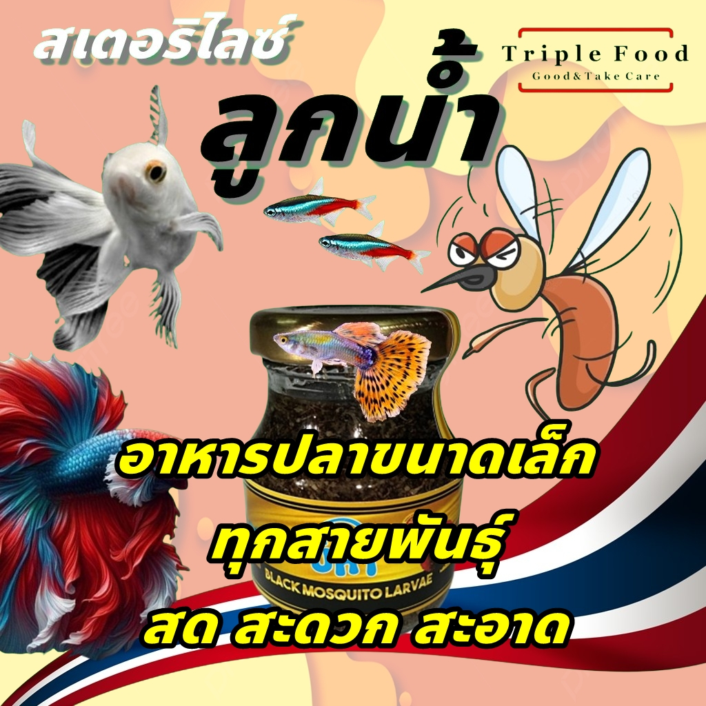 อาหารปลา ลูกน้ำ UHT Fish Food อาหารปลากัด ปลาหางนกยูง ปลาบอลลูน ปลาสวยงาม ปลานีออน ลูกน้ำสด ลูกน้ำปล