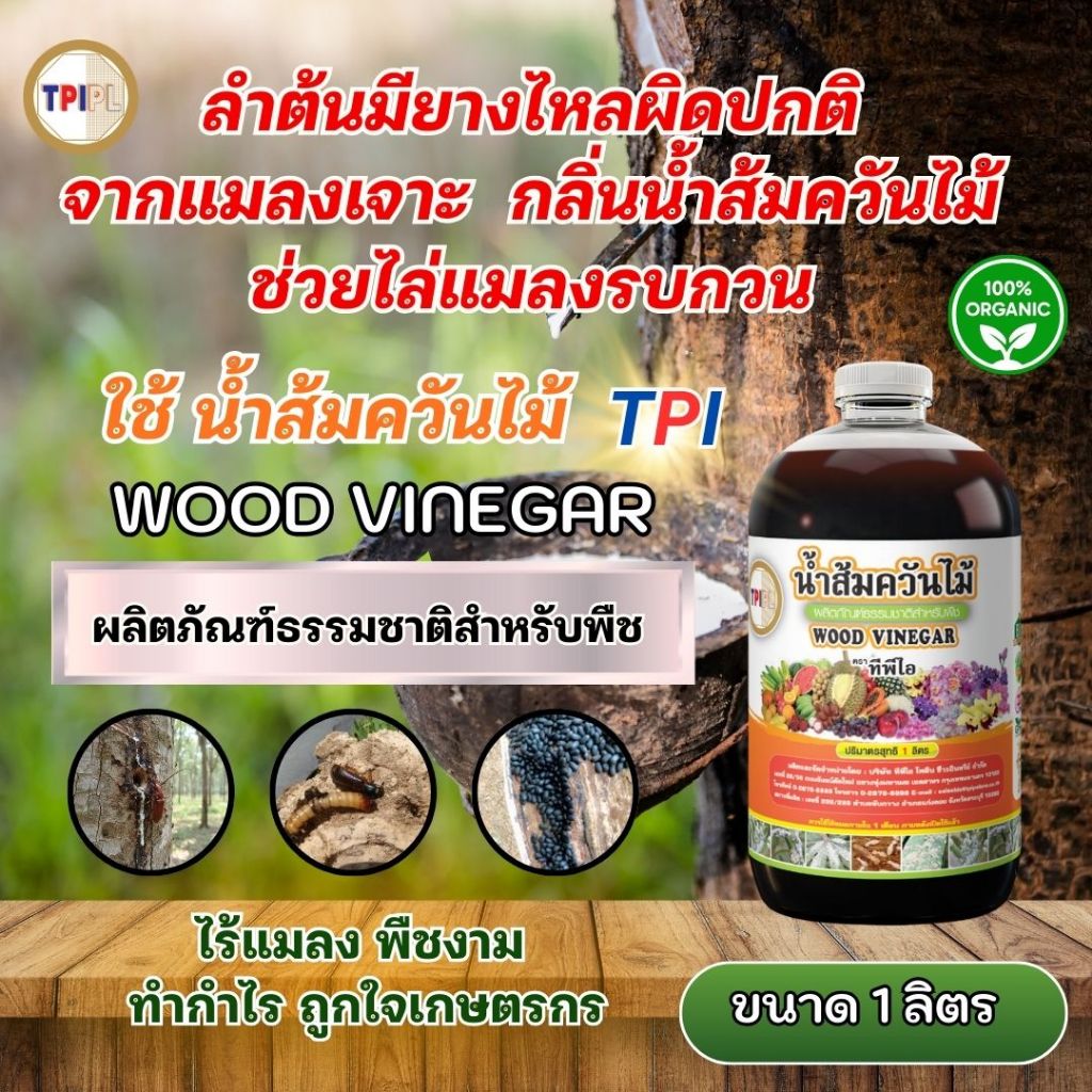 ลำต้นยางพารา มียางไหลผิดปกติจากแมลงเจาะ กลิ่นน้ำส้มควันไม้ช่วยไล่แมลงรบกวน น้ำส้มควันไม้ TPI