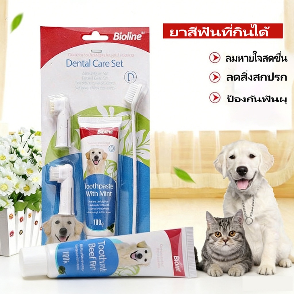 ไม่ต้องพาไปคลินิก！เซ็ตทำความสะอาดฟันหมา   ยาสีฟันรสเนื้อ 100กรัม ‼️ แปรงขนนุ่มพิเศษ
