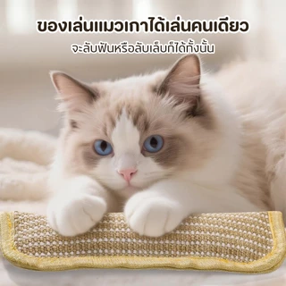 หมอนแมว หมอนอิงแมว ที่อัดแน่นด้วยกัญชาแมว 100% ที่ขัดฟันและกรงเล็บ คลายเครียดและช่วยให้นอนหลับ