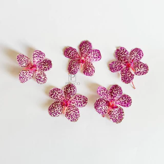 Prosco | ดอกกล้วยไม้อบแห้ง ลายธรรมชาติ ขนาดเล็ก 2-5 cm. สำหรับงานเรซิ่น จิวเวอรี่ craft พร๊อพถ่ายรูป