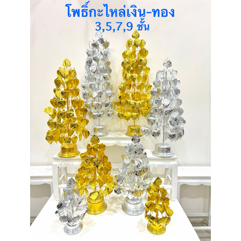 โพธิ์ โพธิ์เงิน โพธิ์ทอง โพธิ์ร่ำรวย (ราคาต่อ1 คู่) แข็งแรง ทดแดด ทนฝน
