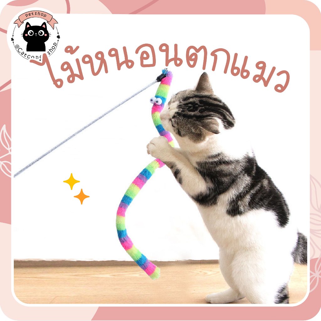 🌵 ไม้ตัวหนอน ของเล่นแมว ไม้ตกแมว ไม้ตกแมวแบบสปริง ไม้แหย่แมว ไม้ตบแมว ไม้แมว ขนนกแมว ขนไก่แมว 🌵