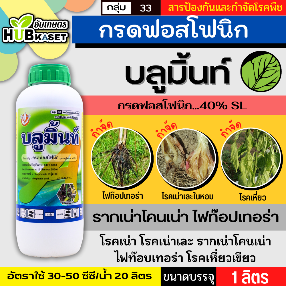 บลูมิ้นท์ 1ลิตร (กรดฟอสโฟนิก 40% SL) ป้องกันเชื้อรา รากเน่าโคนเน่า ไฟท๊อปเทอร่า