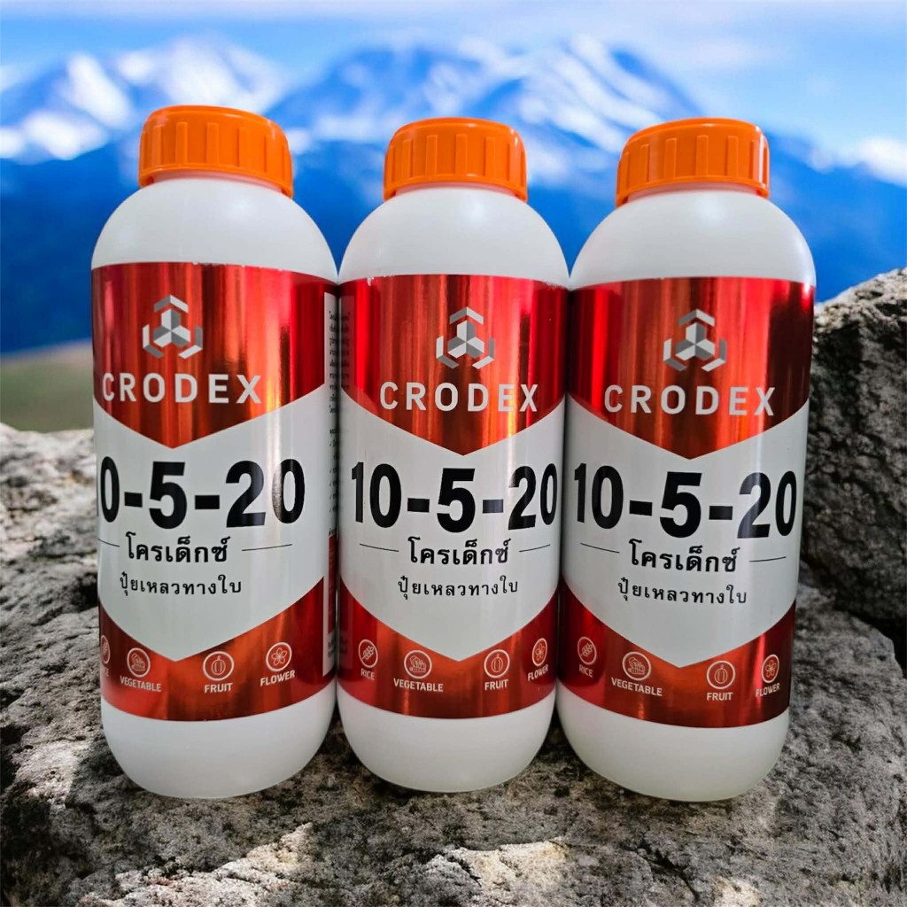 10-5-20 ขนาด 1 ลิตร โครเด็กซ์ บำรุงลูก ช่วยขยายลูก เพิ่มการสร้างเนื้อ ต้นไม่โทรม เพิ่มคุณภาพผลผลิต - รูปที่ 3