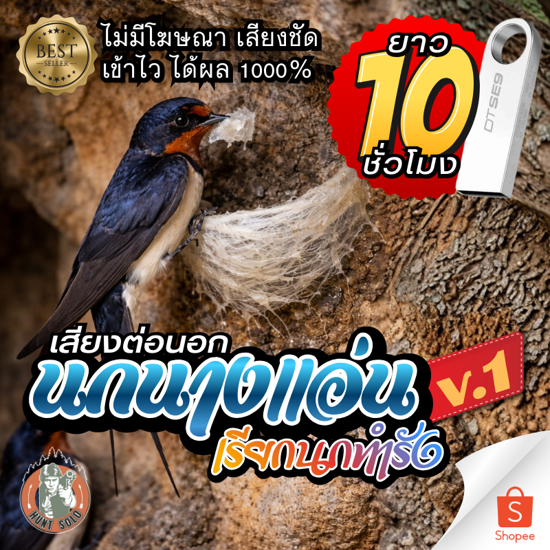 [10ชั่วโมง] เสียงเรียกนกนางแอ่นทำรังV.1 แฟลชไดร์ฟ ชัดใส ไม่มีโฆษณาแทรก พร้อมส่ง! มีเก็บเงินปลายทาง!!