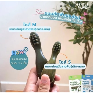 *[Set 4ซองสุดคุ้ม] Gentle Paws ขนมขัดฟันสุนัข รสไก่และบรอคโคลี่ 100g Dental Chews