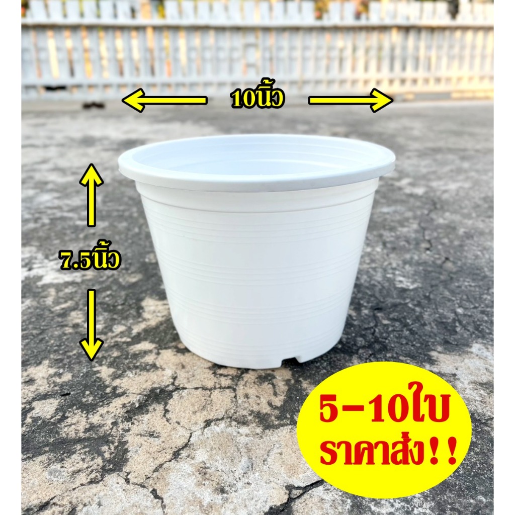 กระถางพลาสติก10นิ้ว สีขาว เนื้อหนา เซต 5ใบ 10ใบ